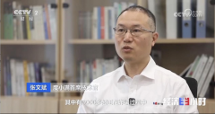 度小满工做人员向央视记者展现了高仿线张看似